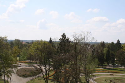 Trees on landscape against cloudy sky