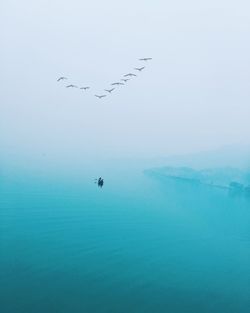 Birds flying over phewa lake against sky during foggy weather