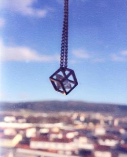 Close-up of plant against sky