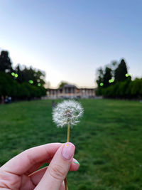 Make a wish.. dandelions will hear it.