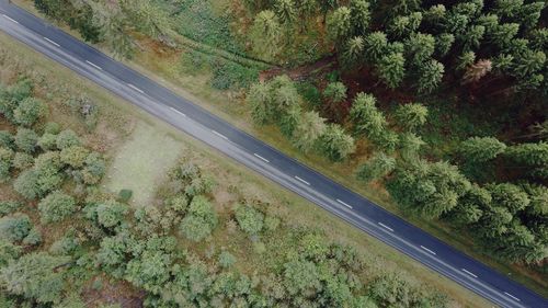 High angle view of road amidst trees in forest