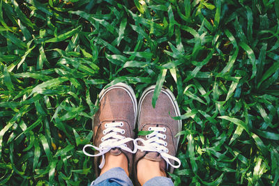 Low section of person standing on grass