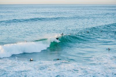 Surfers in the water riding waves at sydney beach