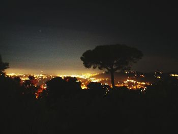 Silhouette trees against sky at night