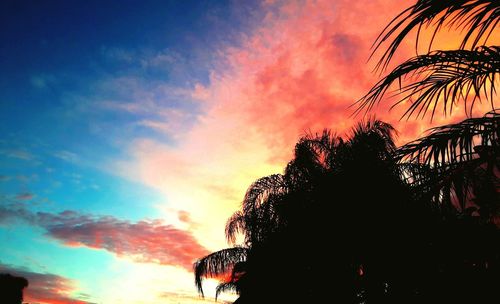 Low angle view of silhouette palm trees against sky