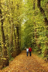 Rear view of woman walking in forest