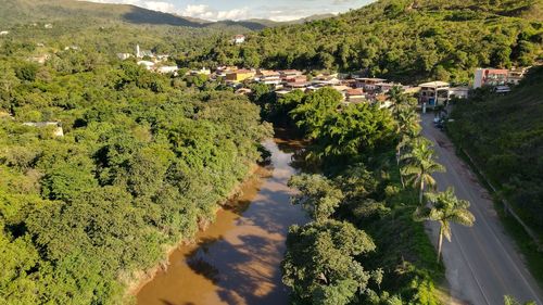 High angle view of trees on landscape