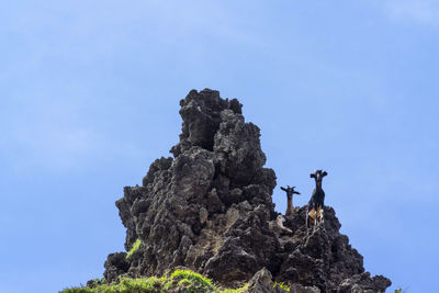 Low angle view of person standing on rock against blue sky