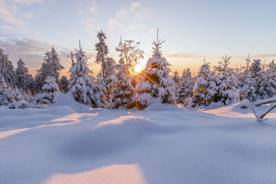 Snow covered land and trees against sky during winter