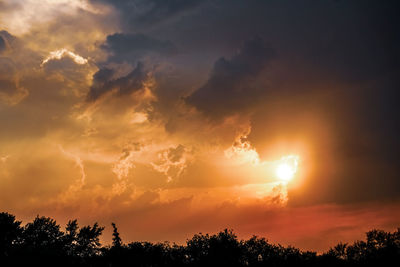 Low angle view of silhouette trees against sky during sunset