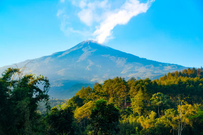 Scenic view of trees and mountains against sky