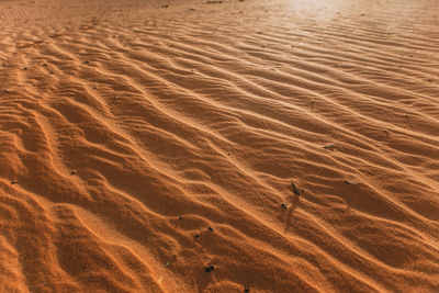 Full frame shot of sand dune