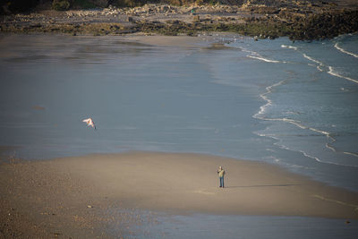 High angle view of man on beach