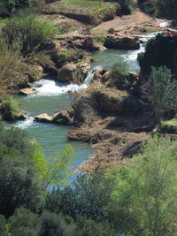 High angle view of river amidst trees in forest