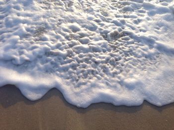 Close-up of sand dunes on beach against sky
