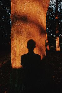 Shadow of man on tree trunk during sunset