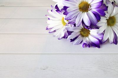 Close-up of purple flowering plants on table