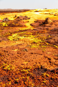 Scenic view of land against sky