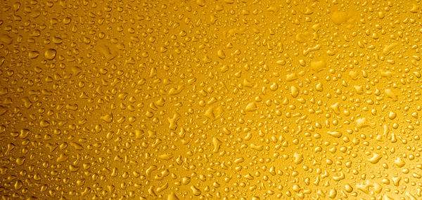 Full frame shot of beer glass