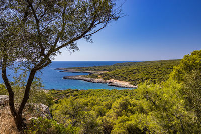 Scenic view of sea against clear sky