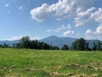 Scenic view of field against sky