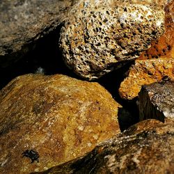 Close-up of rocks