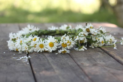 Close-up of flower bouquet