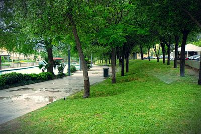 Footpath in park