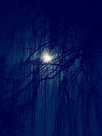 Low angle view of bare trees against sky at night