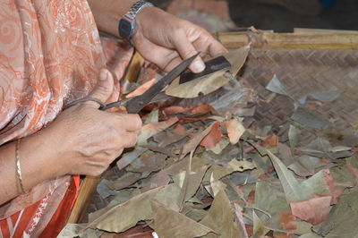 Cropped image of woman cutting dried leaves