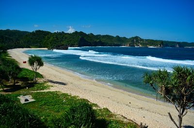 Scenic view of beach against clear blue sky