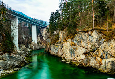 Bridge over river amidst trees against sky