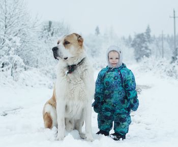 View of dog on snow covered land