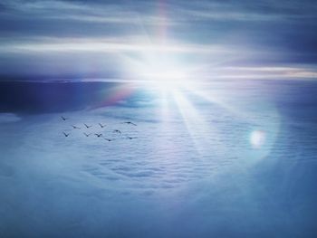 Birds flying over sea against sky at sunset