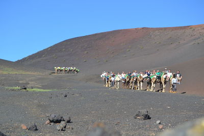 Group of people on the ground