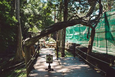 Walkway amidst trees