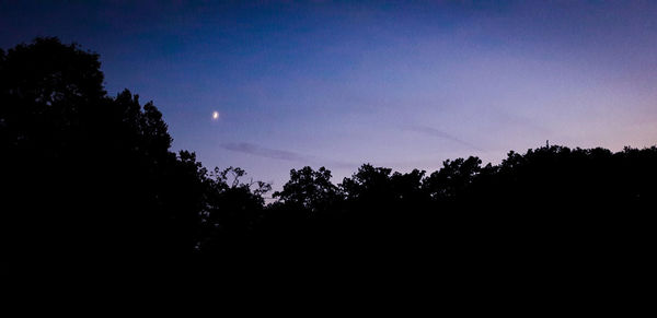 Low angle view of silhouette trees against sky at night