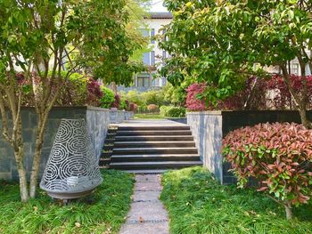 Footpath amidst plants in park