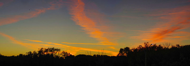 Low angle view of silhouette trees against orange sky