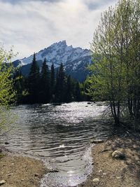 Scenic view of lake by trees against sky