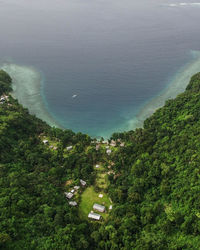 High angle view of sea and trees