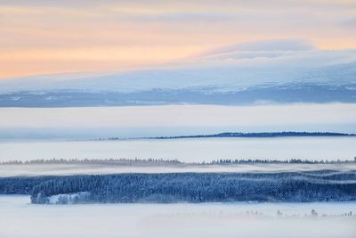 Idyllic shot of trees on snow covered field in foggy weather against sky