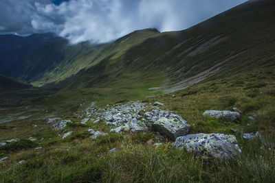 Scenic view of landscape against sky