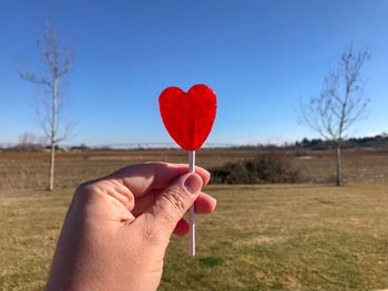 Close-up of hand holding heart shape on field against sky