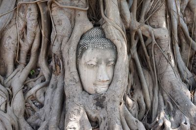 Statue of buddha