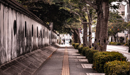 Footpath amidst buildings in city