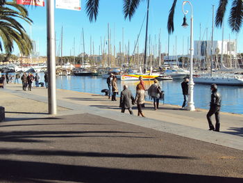 Boats in harbor