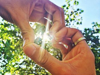 Close-up of cropped hand holding plant