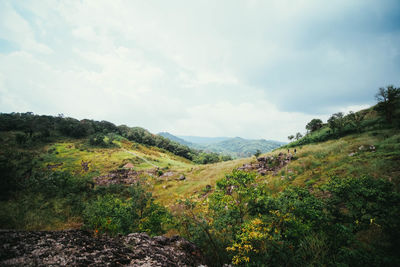 Scenic view of landscape against sky