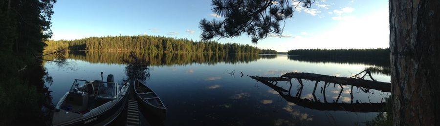 Reflection of trees in calm lake